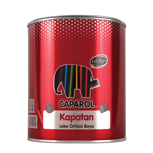 Filli Boya Kapatan 0,25 Lt